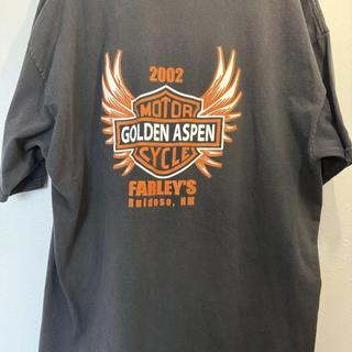 Vintage 2002 Golden Aspen Harley