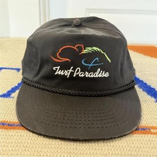 Vintage Turf Paradise Phoenix Arizona