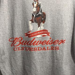 Budweiser Clydesdales South Point Las